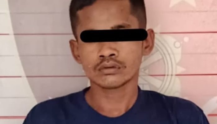 Curi 45 Tandan Sawit Bareng, Masuk Penjaranya Sendirian, Kasian…..